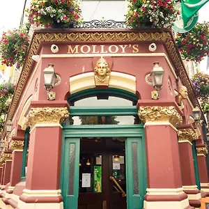 Apartment Molloys, Dublin